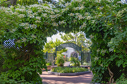 A walkway through hedges. Links to Beneficiary Designations designations.jpg